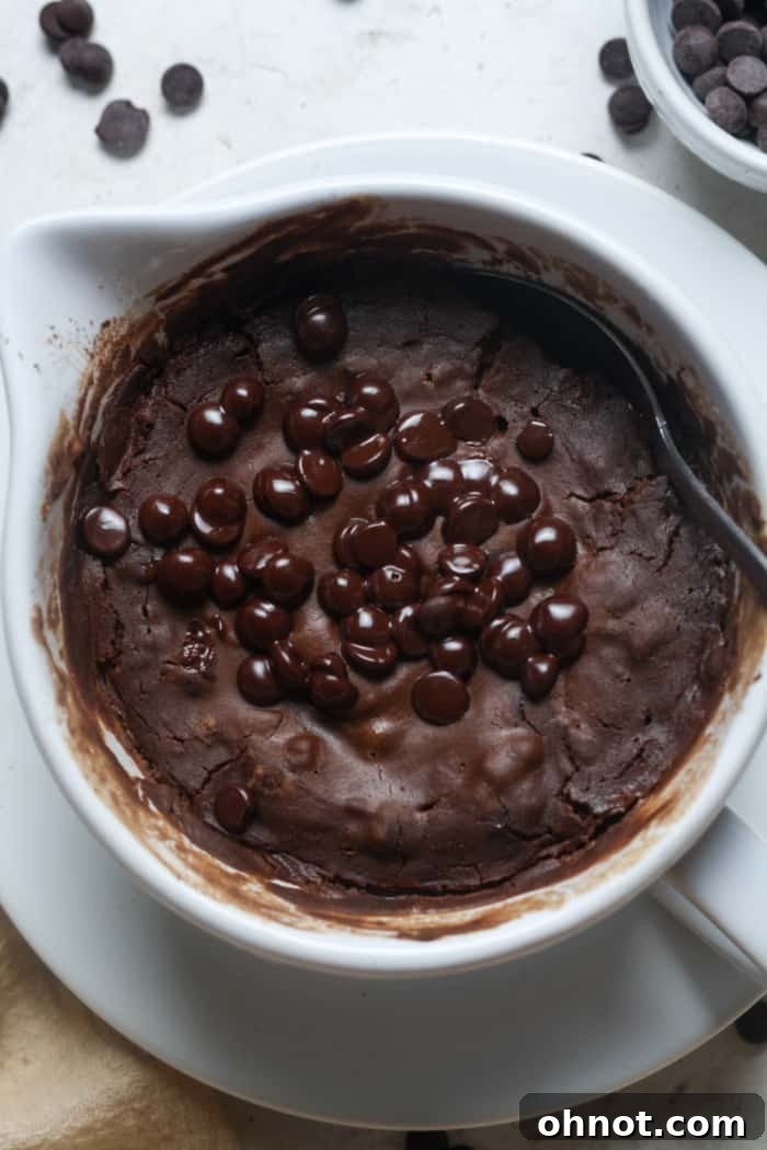 Gooey, melted mini chocolate chips on top of a protein mug cake.