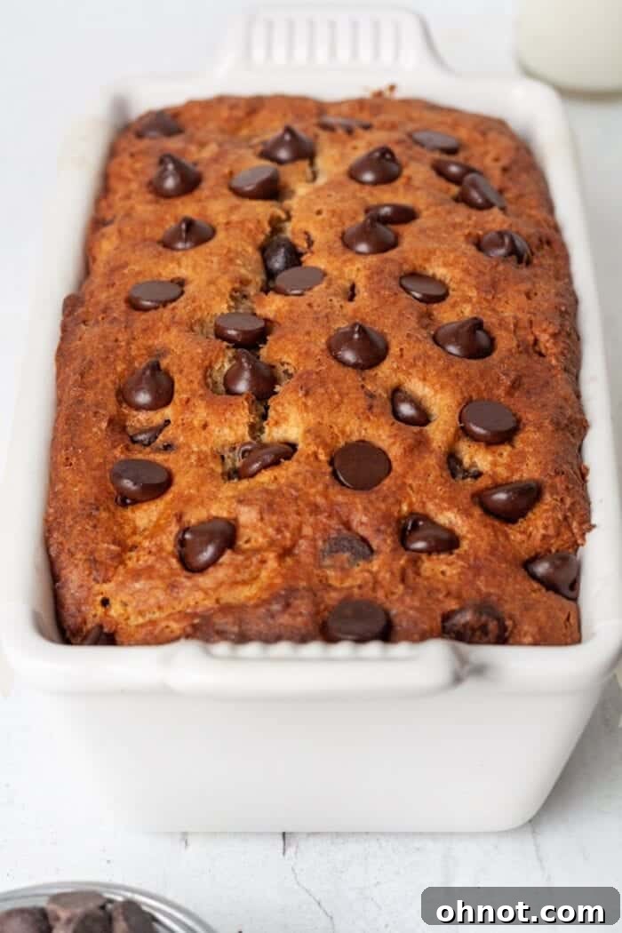 A cooling loaf of Paleo chocolate chip banana bread on a wire rack