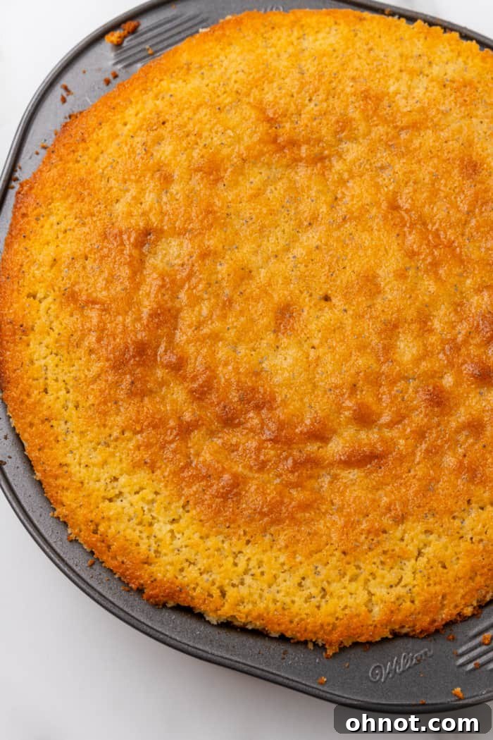 A freshly baked single-layer lemon poppy seed cake in its pan.
