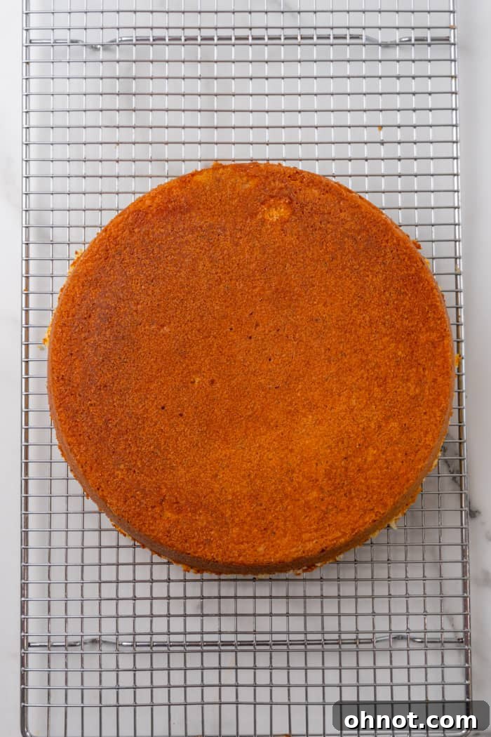 A round baked dessert cooling on a wire rack.