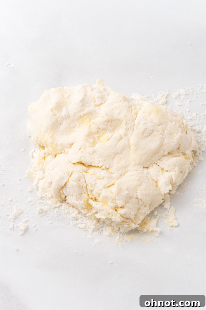 A ball of biscuit dough, lightly floured, on a clean surface.