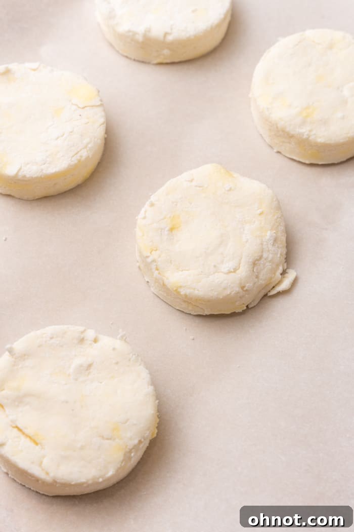 Raw biscuit dough rounds placed on parchment paper on a baking sheet.