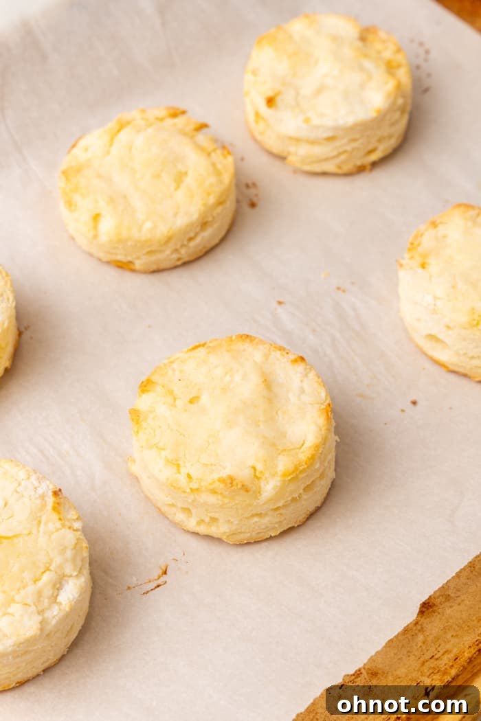 Freshly baked golden brown gluten free biscuits on a baking sheet.