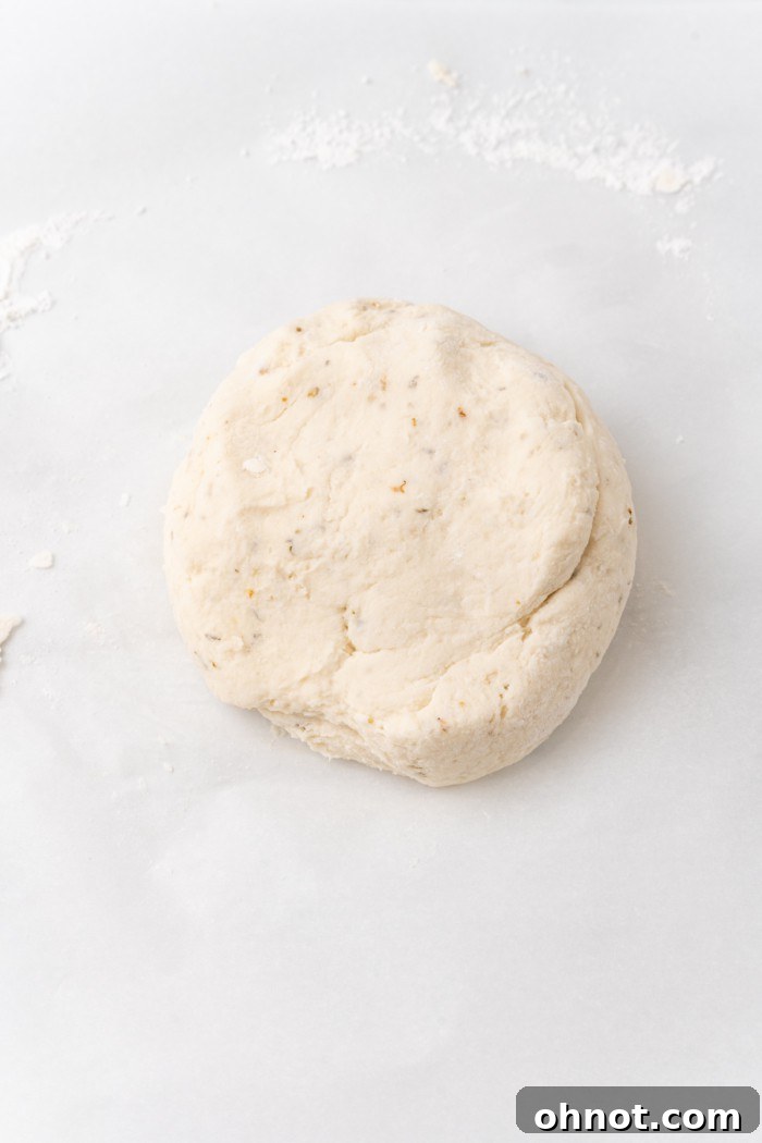 Ball of pizza dough.
