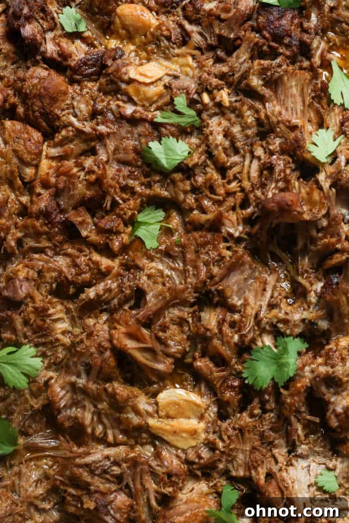 Close-up of Mexican pulled pork, or carnitas, in a serving dish.
