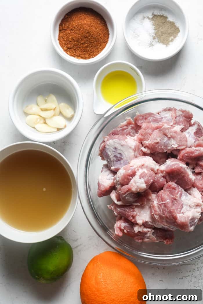 Various ingredients for Instant Pot carnitas laid out on a counter.