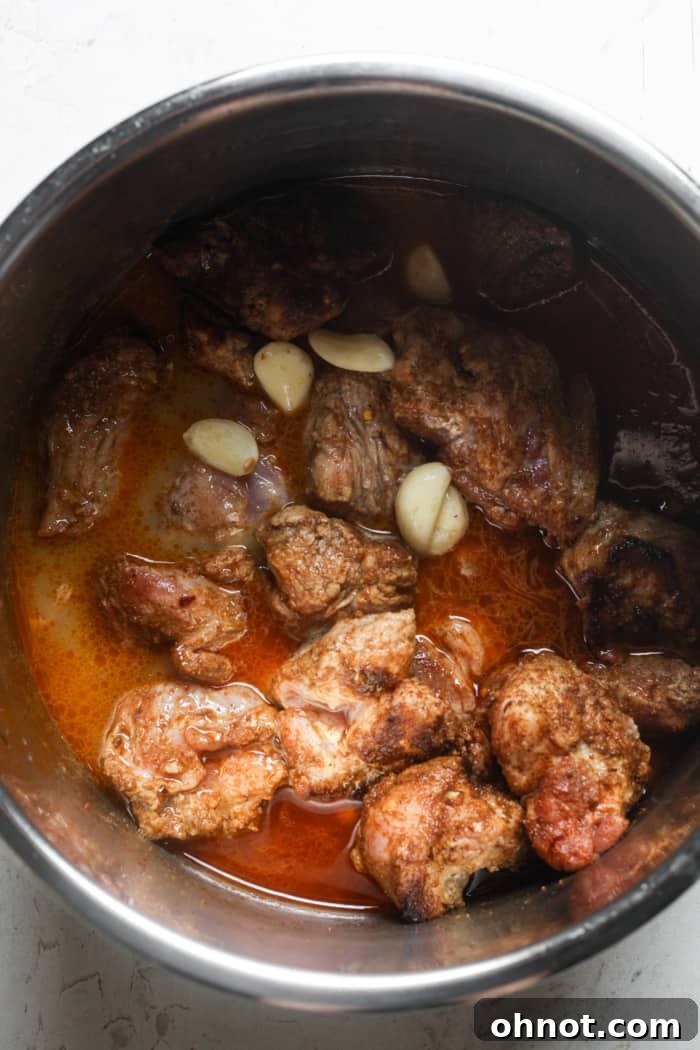 Pork, garlic, and citrus liquids added to the Instant Pot before sealing.