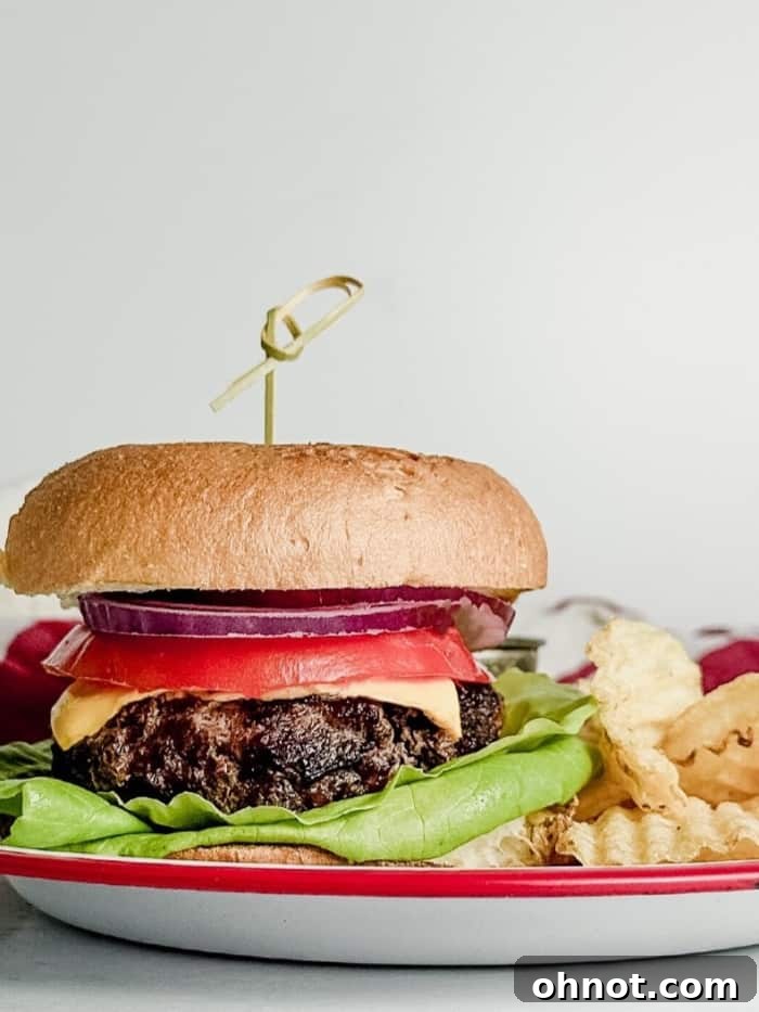 A plate featuring a fully assembled gluten-free burger with a side of golden brown chips.
