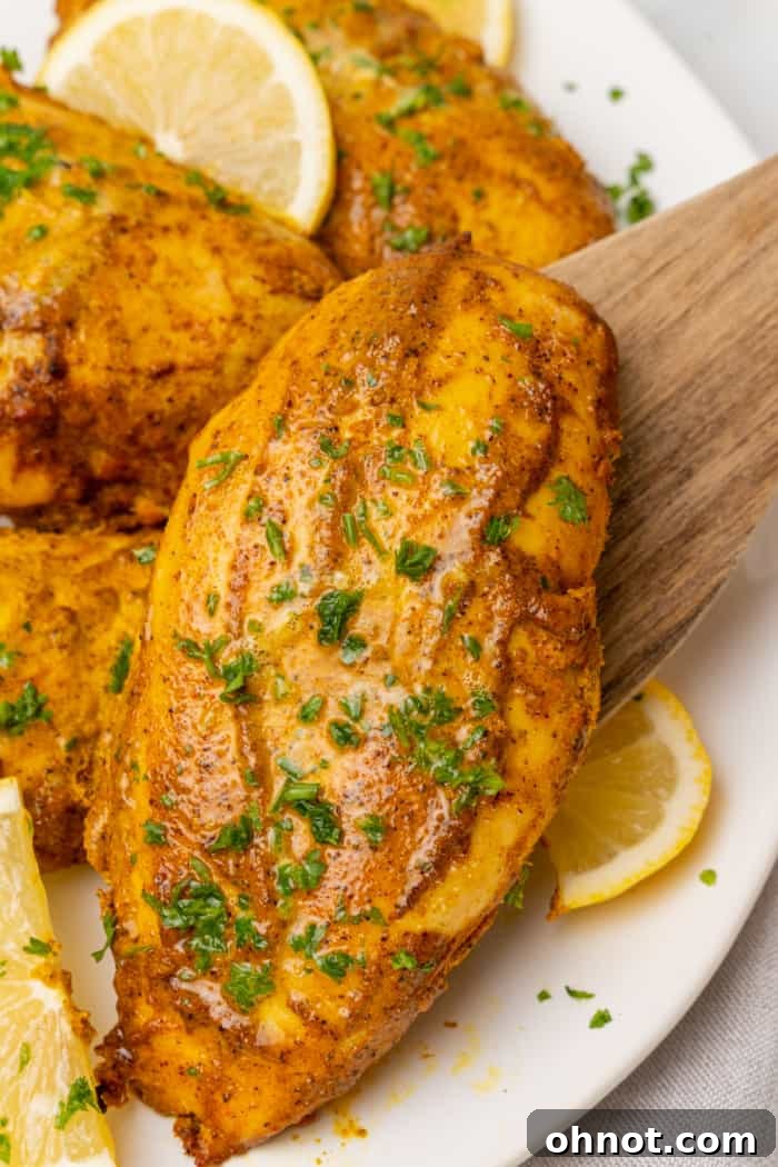 A complete Indian dinner dish featuring succulent Tandoori chicken with sides.