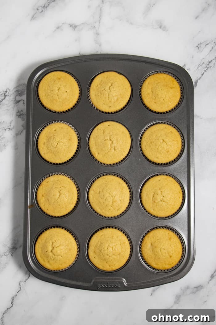 Freshly baked gluten-free cupcakes cooling on a wire rack.