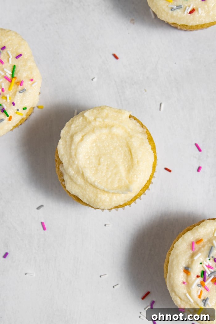 Beautifully decorated dairy-free cupcakes with fluffy white frosting, ready to be eaten.