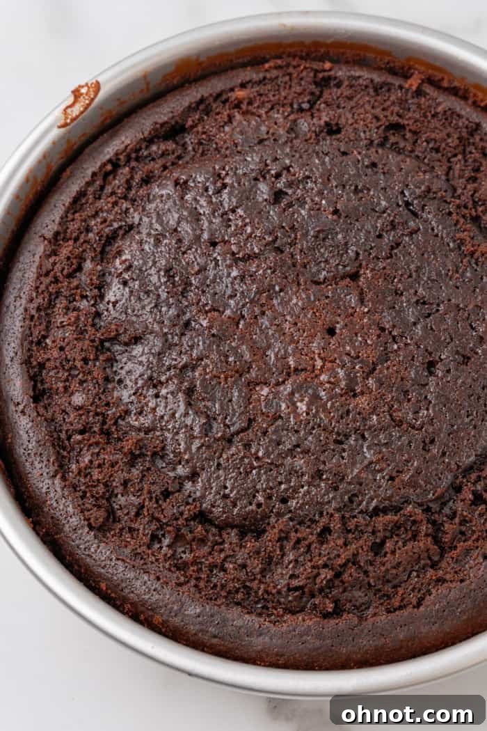 Baked Instant Pot chocolate cake.