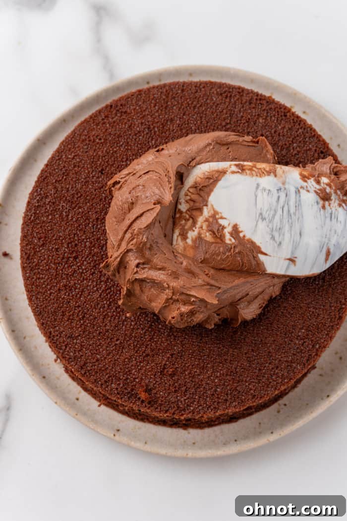 Chocolate frosting on cake.