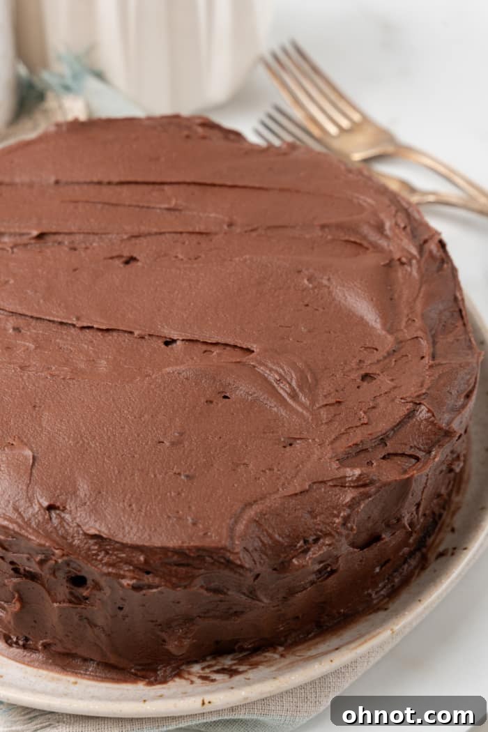 Close up of chocolate instant pot cake.