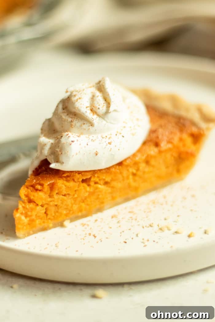 Sweet potato pie with whipped cream and a sprinkle of cinnamon, ready to be served.