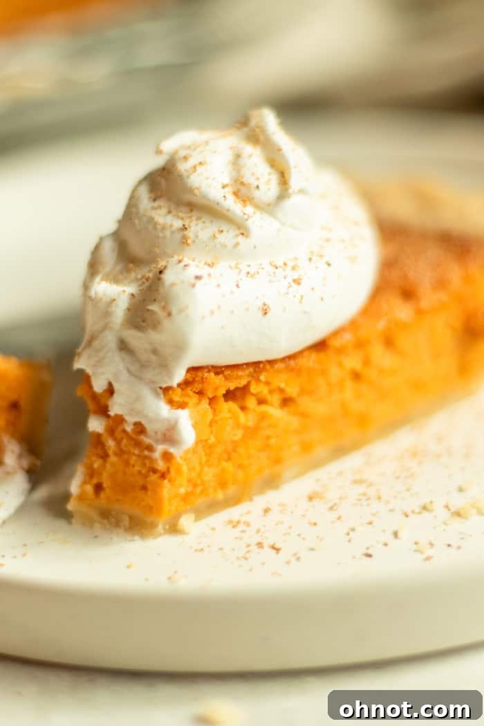 Close-up of a slice of sweet potato pie, showing its smooth filling and golden crust.
