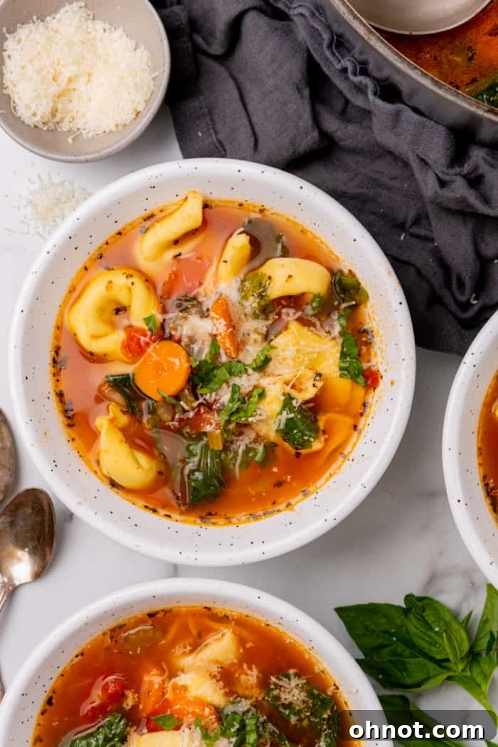 A steaming bowl of hearty tortellini soup, garnished with fresh basil and Parmesan cheese, ready to be enjoyed.