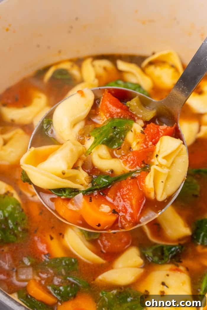 A ladle scooping a hearty portion of tortellini pasta and vegetables from a simmering pot of soup.