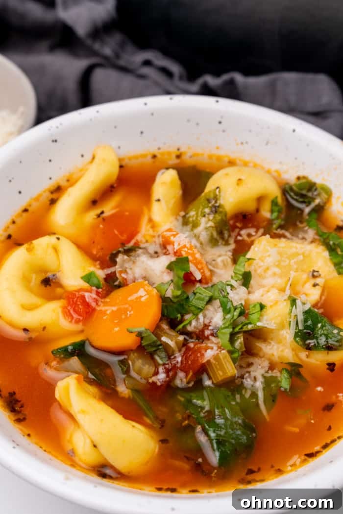 A beautiful bowl of homemade tortellini soup, perfectly garnished and ready to be enjoyed as a comforting meal.