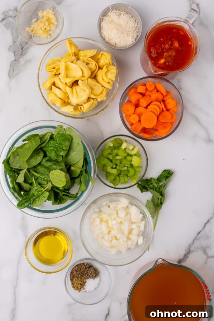 A vibrant selection of fresh ingredients laid out on a kitchen counter, including olive oil, diced onion, minced garlic, carrots, celery, canned diced tomatoes, dried herbs, a package of tortellini, and fresh spinach, ready for making tortellini soup.