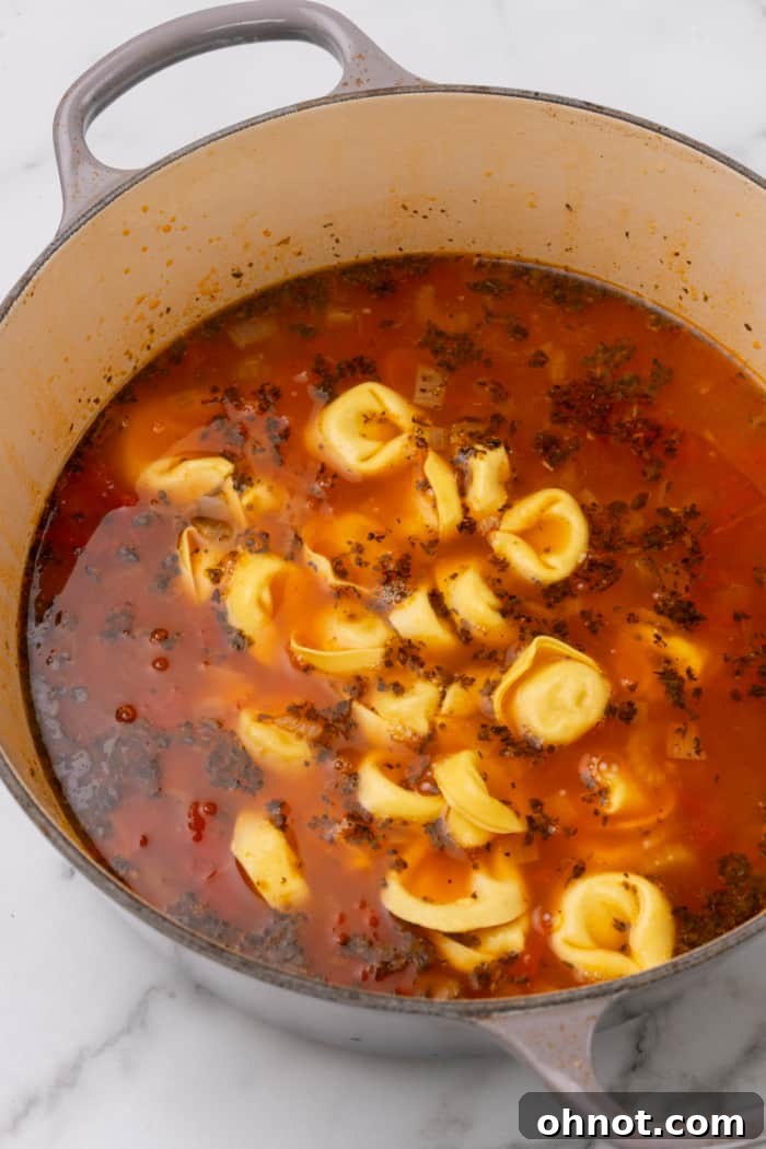 A saucepan filled with a vibrant tortellini soup, featuring tender pasta, colorful vegetables, and a rich broth, simmering gently.