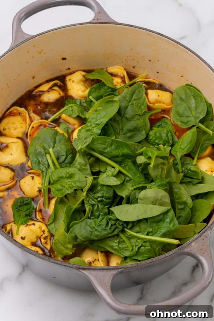 Delicious tortellini soup with fresh spinach wilting into the rich broth and vegetables in a saucepan.