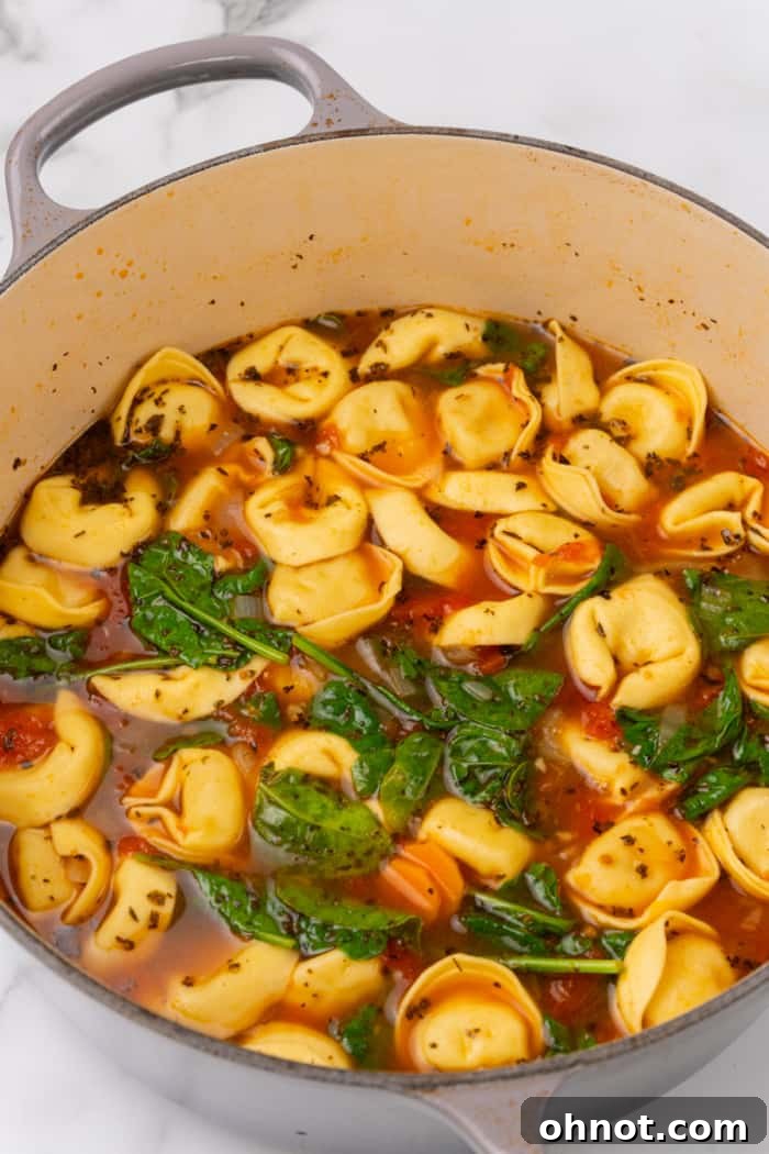 Close-up of hearty broth with a generous mix of vegetables and perfectly cooked tortellini pasta, ready to be served.