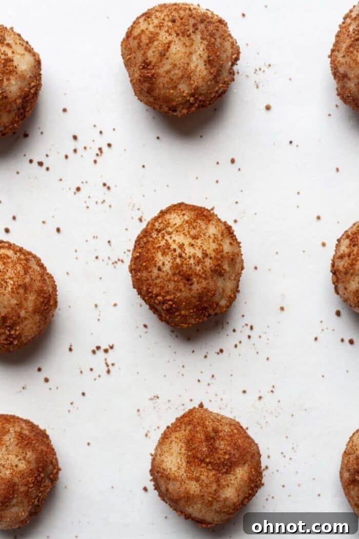 Raw cinnamon sugar cookie dough balls, coated and ready for baking, arranged on parchment paper on a baking sheet.