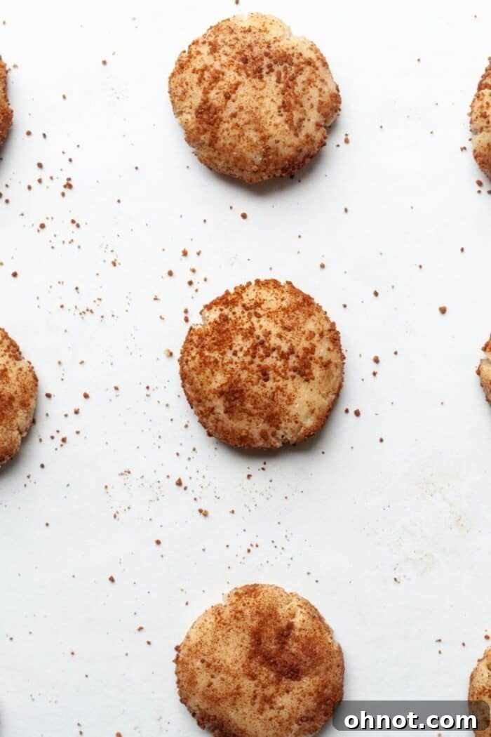 Paleo cinnamon cookies, lightly flattened and ready for the oven, on a baking sheet.