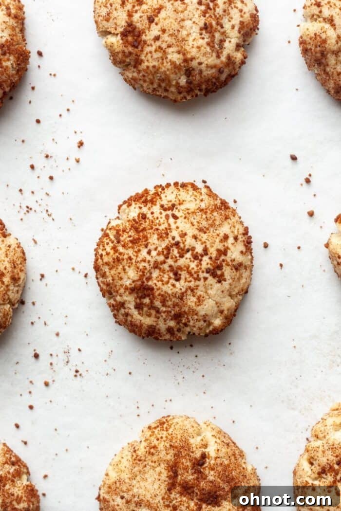 Freshly baked Vegan Snickerdoodles, with golden edges and soft centers, on a baking sheet.