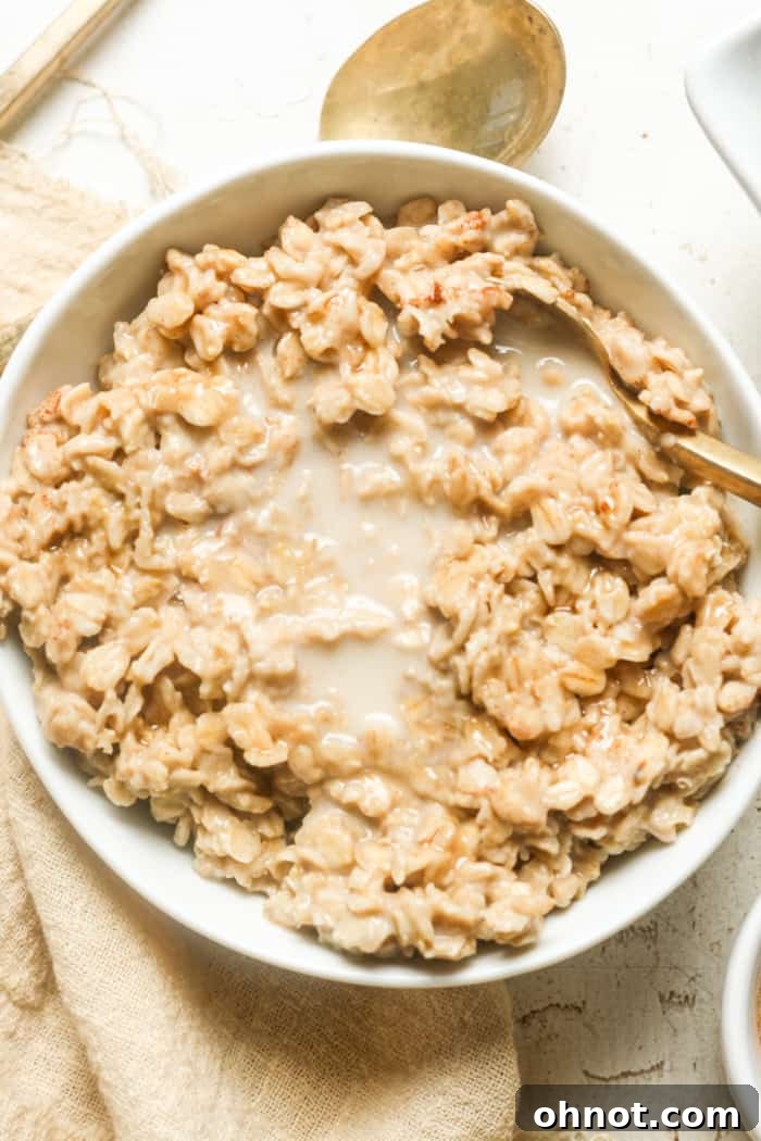 A close-up of creamy vegan oats with a swirl of plant-based milk, indicating a smooth texture.