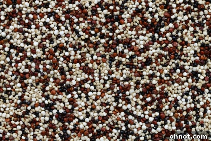 Multi colored quinoa.