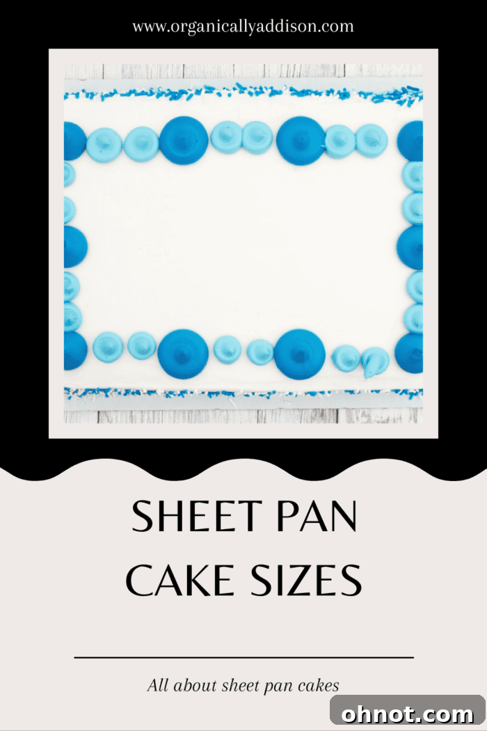 A visual guide displaying various sheet cake sizes and their common dimensions, illustrating the difference between full, half, quarter, and eighth sheet cakes.