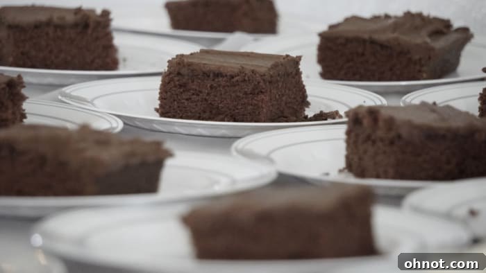 Perfectly cut squares of Texas sheet cake, showing consistent portioning.