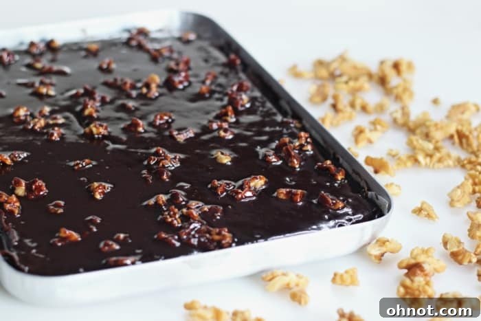 A deliciously moist pan cake topped with rich chocolate frosting, ready to be enjoyed.
