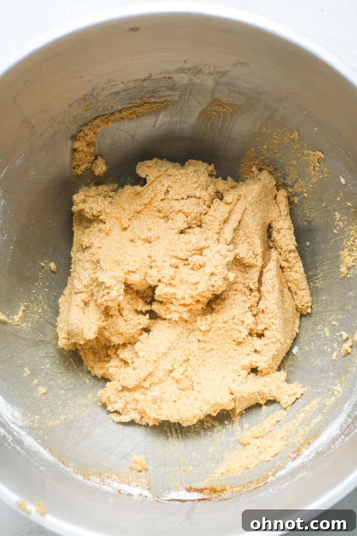 Thick ginger cookie dough with all dry and wet ingredients combined, ready for shaping.