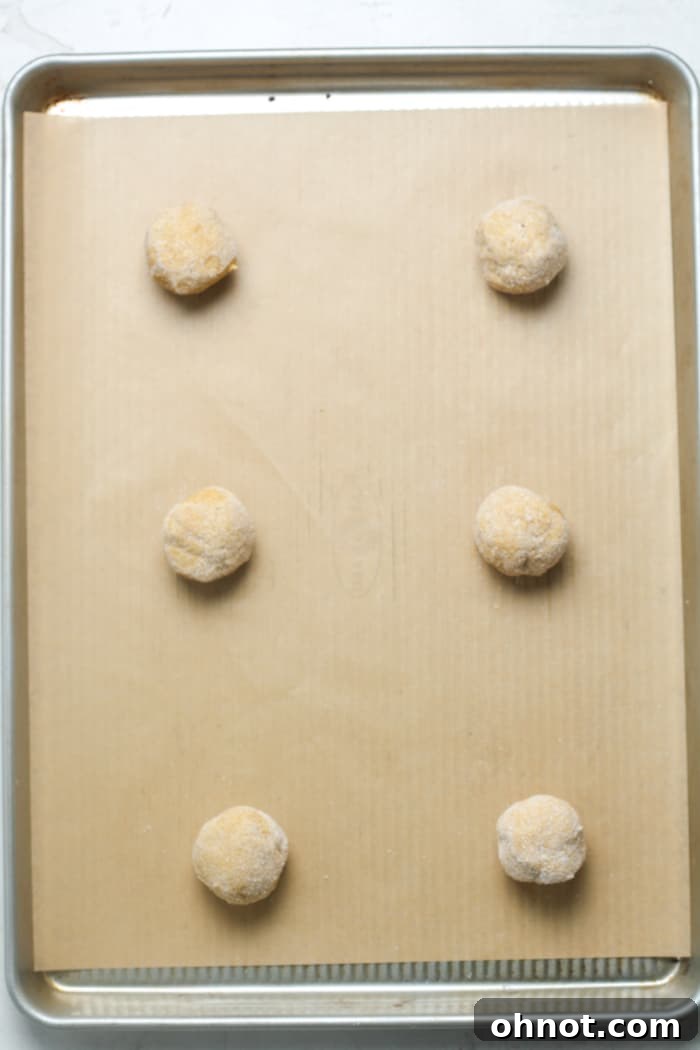 Gingersnap cookie dough balls, rolled in sugar and spaced on a lined baking sheet.