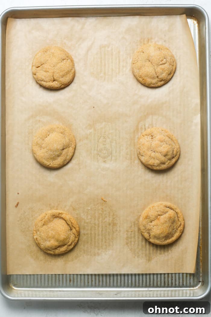 Freshly baked gingersnaps, golden brown at the edges with visible cracks.