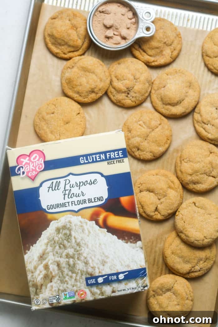 Ginger molasses cookie dough with flour on a counter, ready for mixing.