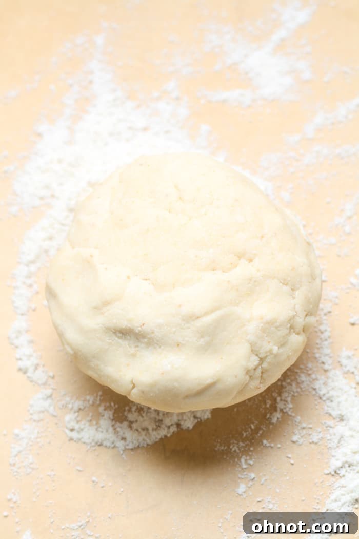 Dough disc on a floured surface, ready to be rolled.