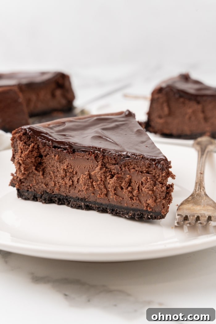 Gluten free chocolate cheesecake.