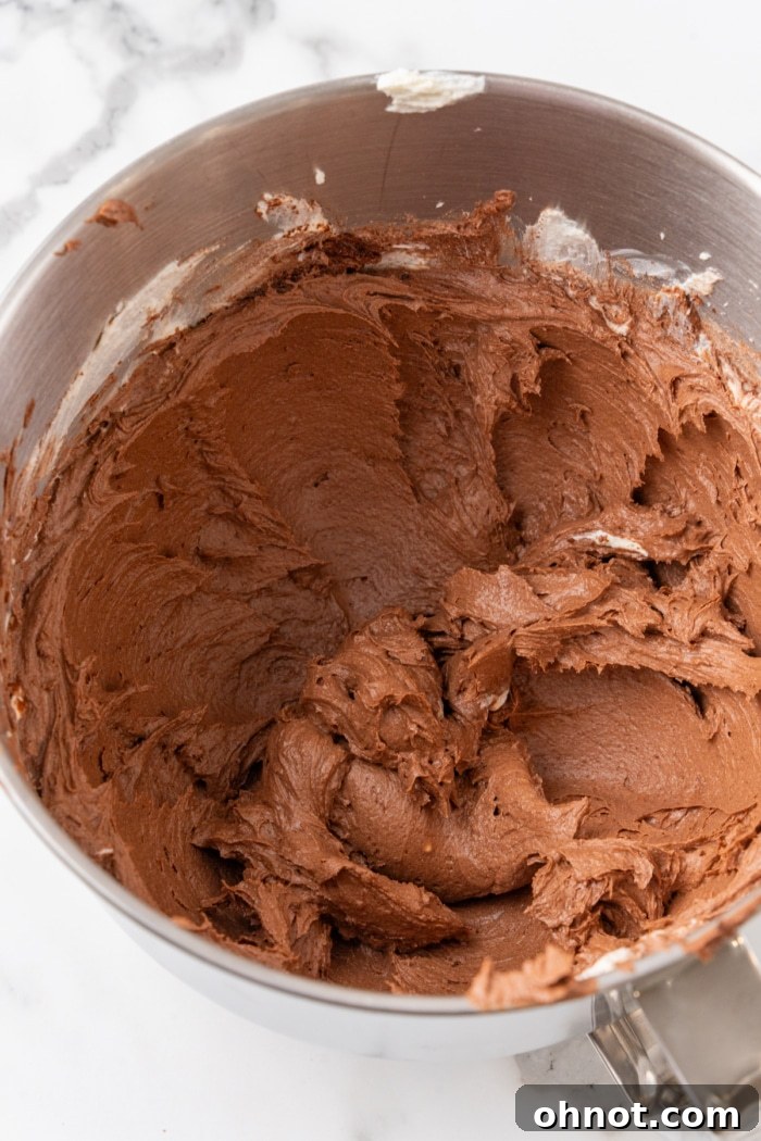 Thick chocolate cheesecake batter.