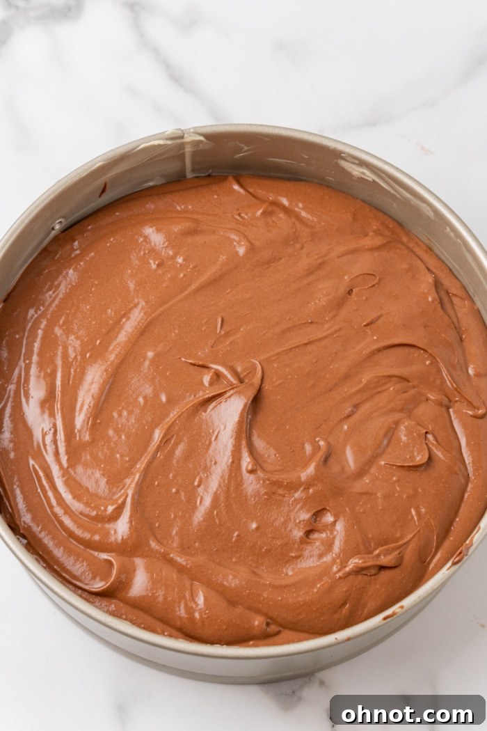 Springform pan with chocolate batter.