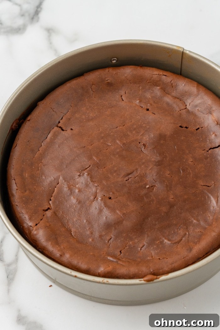 Baked chocolate cheesecake.