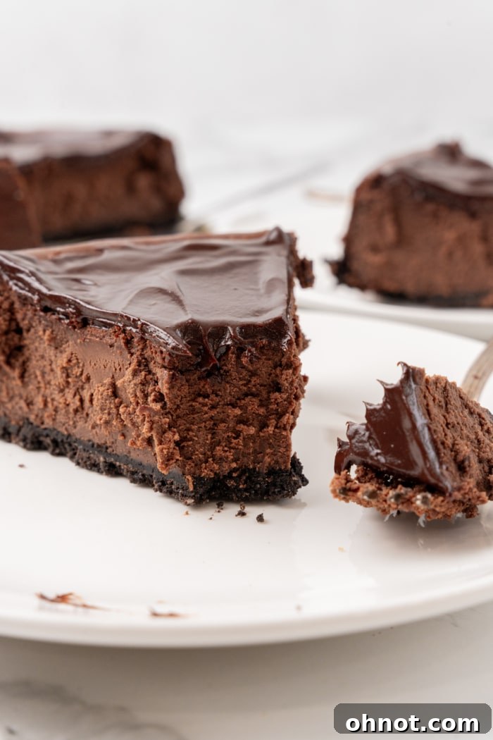 Bite of gluten free chocolate cheesecake.