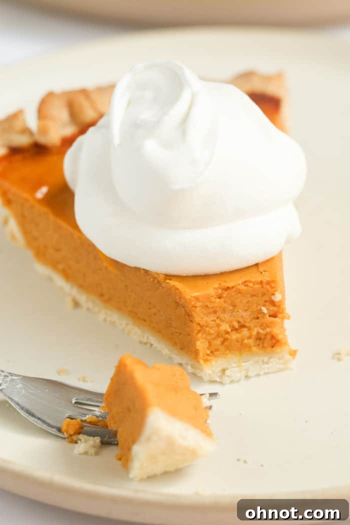 A delicious slice of healthy pumpkin pie with a flaky crust.