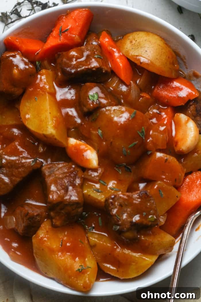A large bowl of delicious Dutch oven beef stew, garnished and ready.