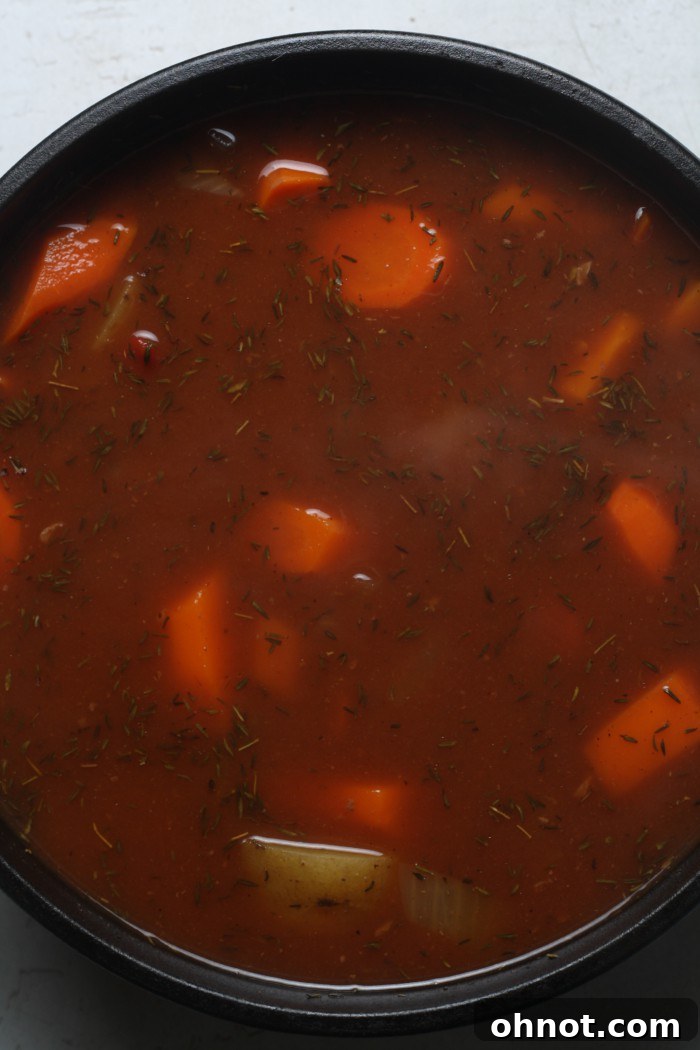 Broth, carrots, and onions mixed into the stew.