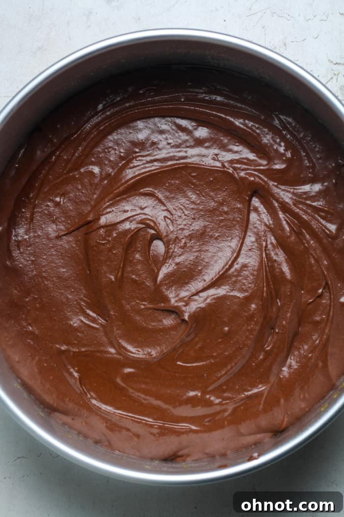 Springform pan filled with smooth chocolate batter, ready for baking.
