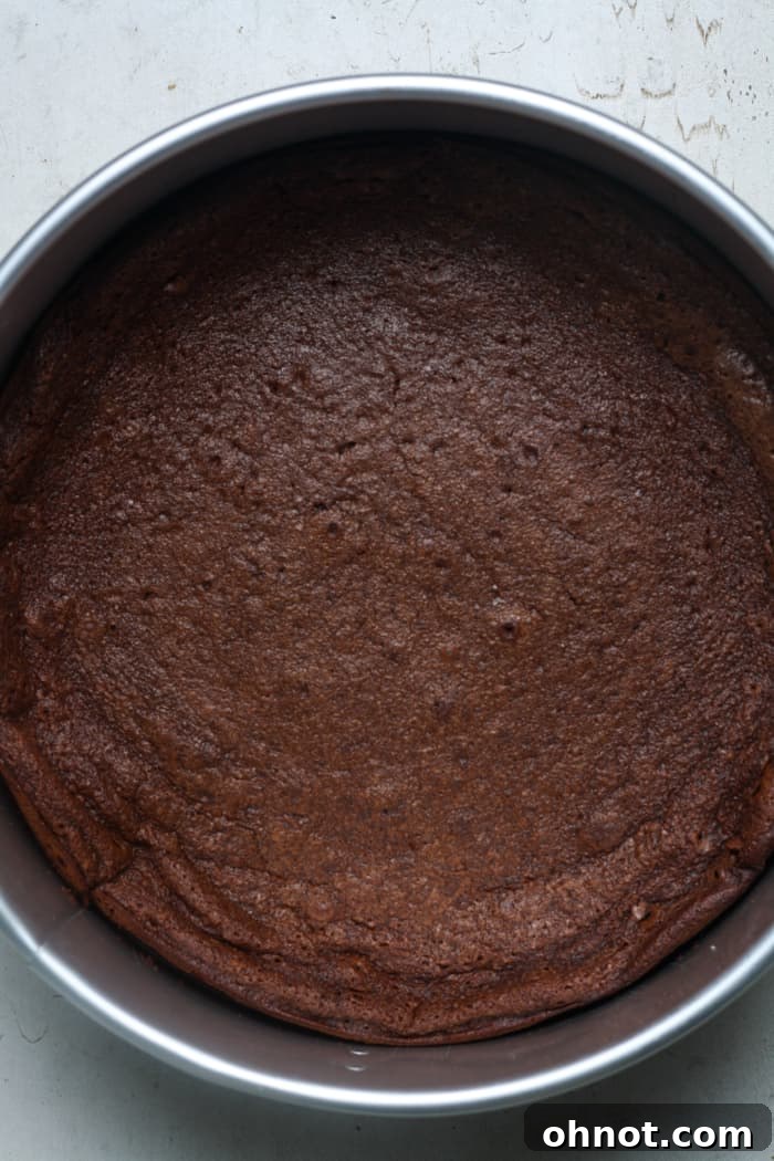 Freshly baked flourless chocolate torte in a springform pan.